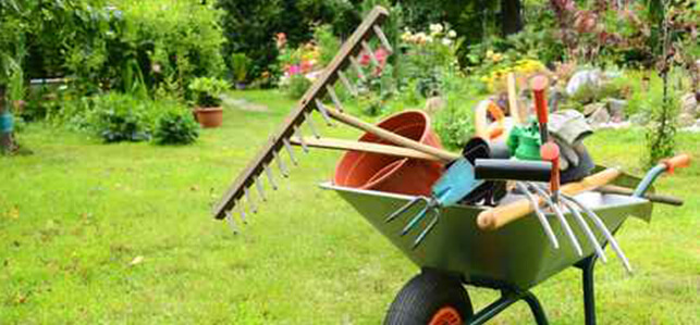 Jenners Dienstleistungen umfasst Gartenlandschaftsbau, Geb‰udereinigung, Hausmeister- und Reparaturservice.